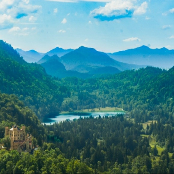 Meet your Posher, Grace - Picture 1 of 1